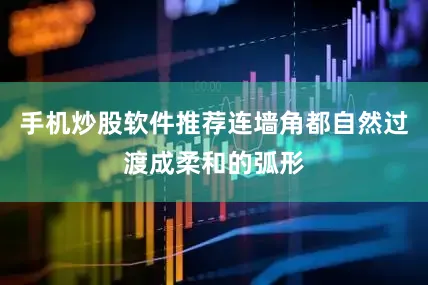 手机炒股软件推荐连墙角都自然过渡成柔和的弧形