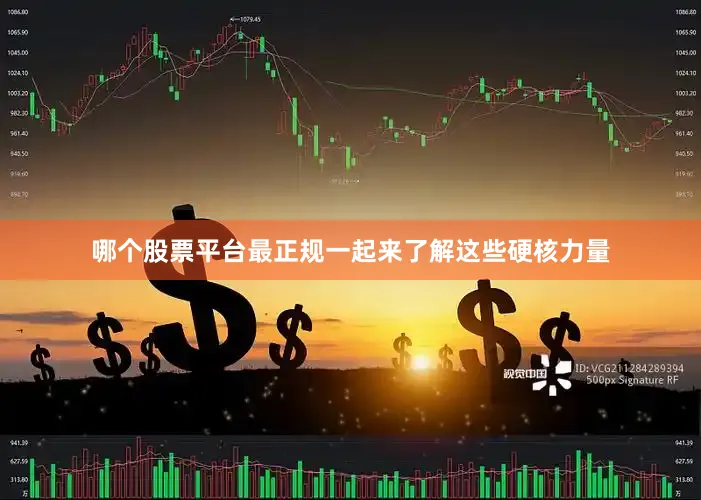 哪个股票平台最正规一起来了解这些硬核力量