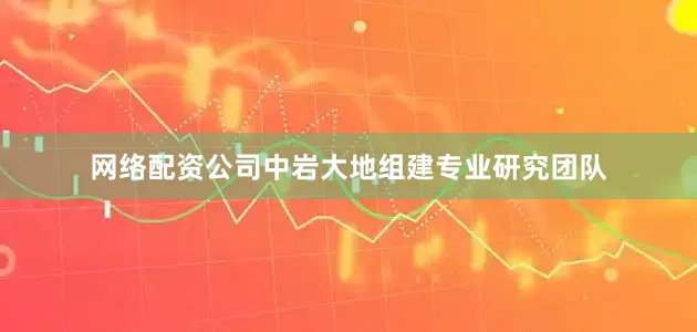 网络配资公司中岩大地组建专业研究团队