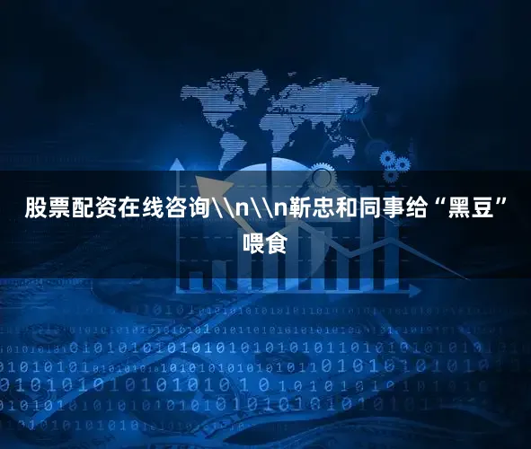 股票配资在线咨询\n\n靳忠和同事给“黑豆”喂食